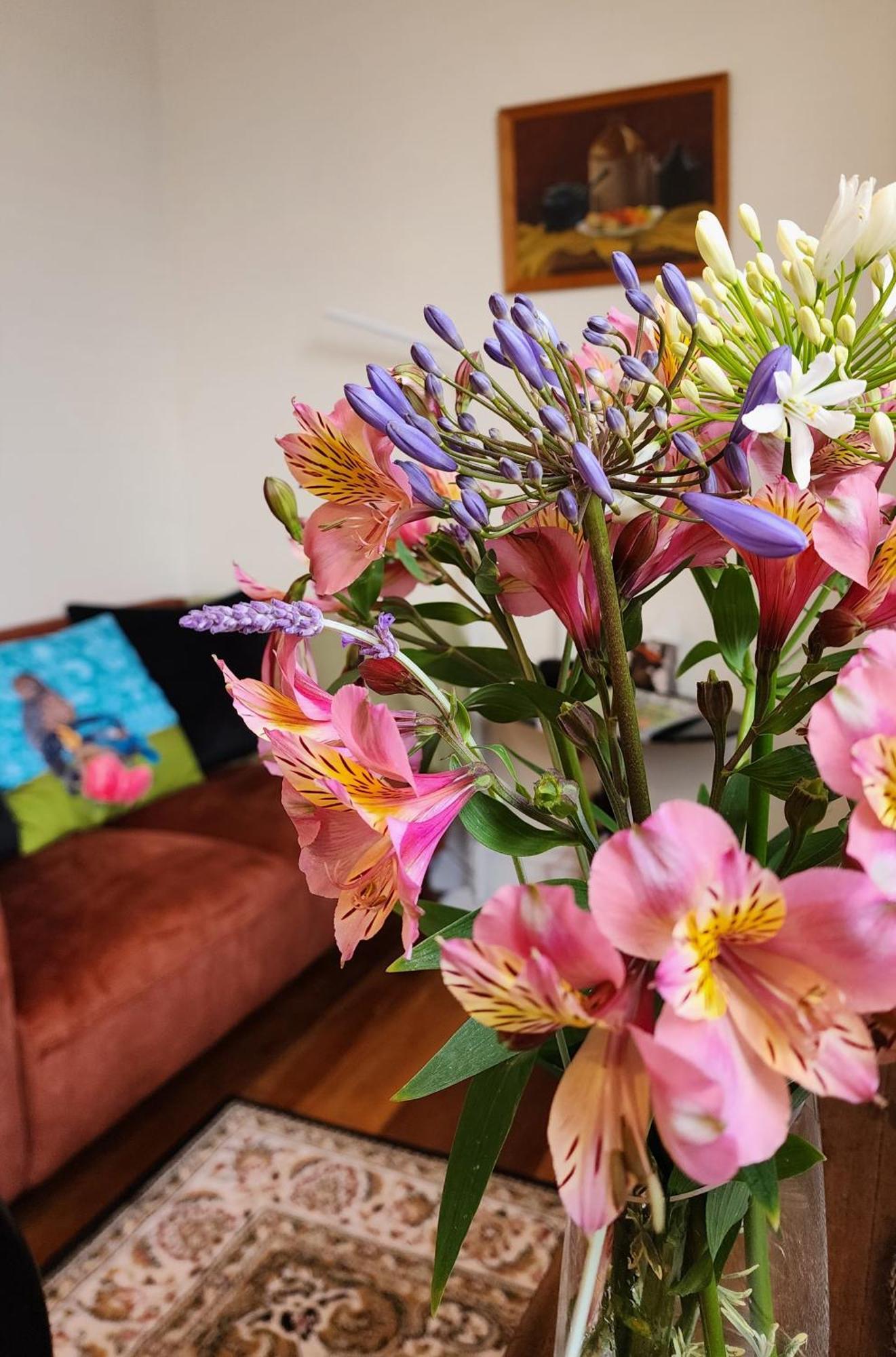 Central Garden Villa Whanganui Zewnętrze zdjęcie